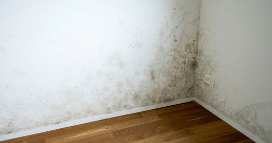 Schimmelvorming op muur en vloer door vocht, infrarood vloerverwarming kan dit helpen voorkomen